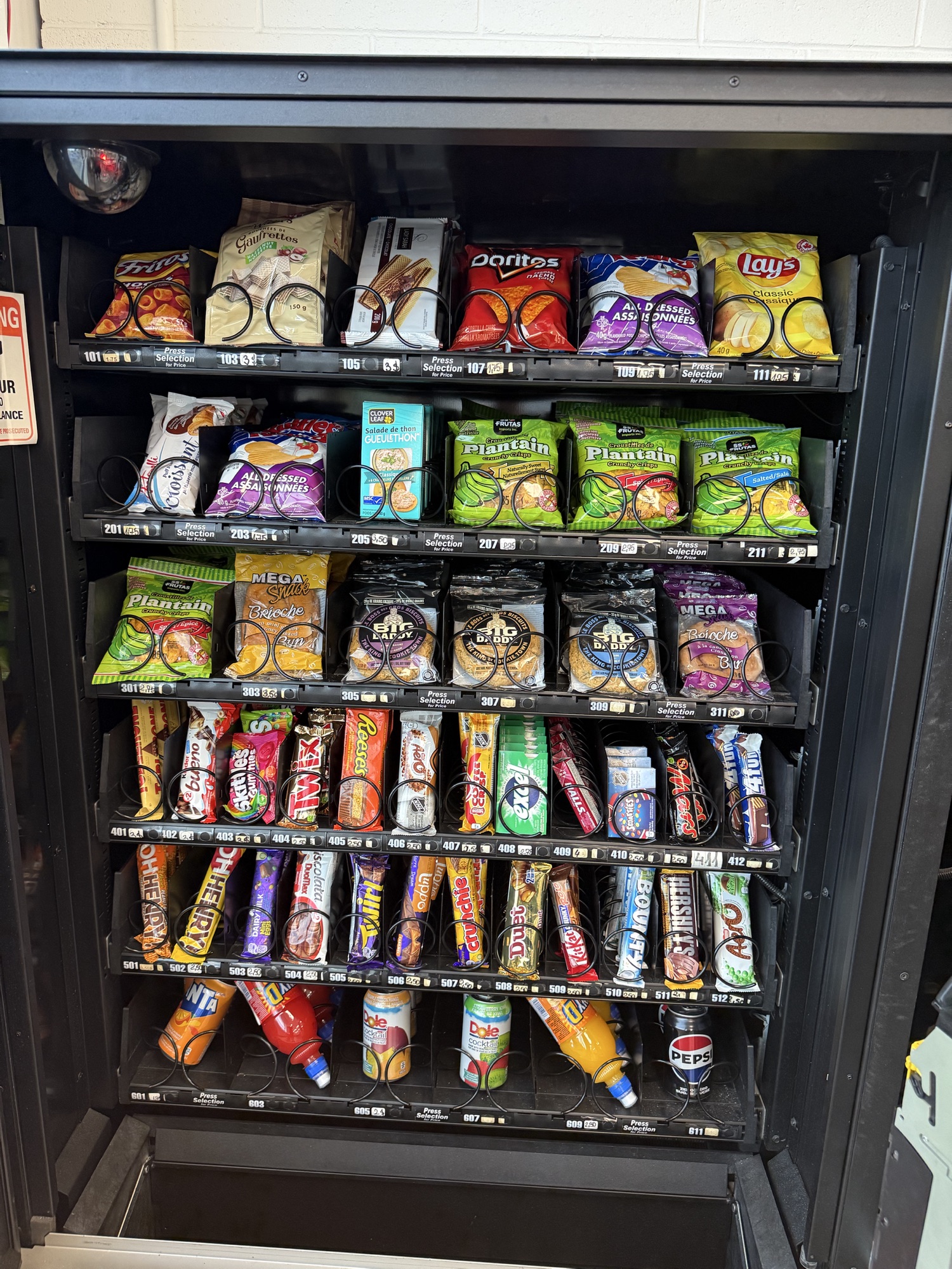 Équipe de Groupe Primera en service